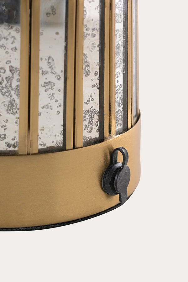 Fossil Table Lamp